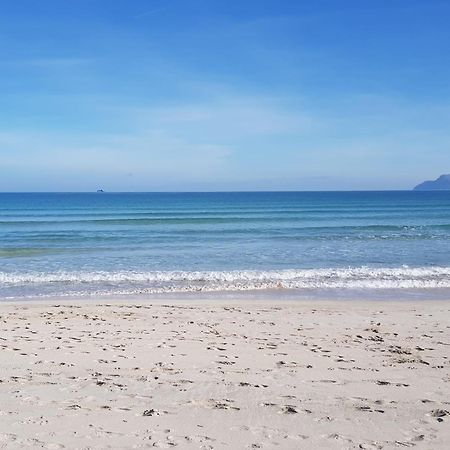 Ideal Property Mallorca - Blue Palm Beach 알쿠디아 외부 사진