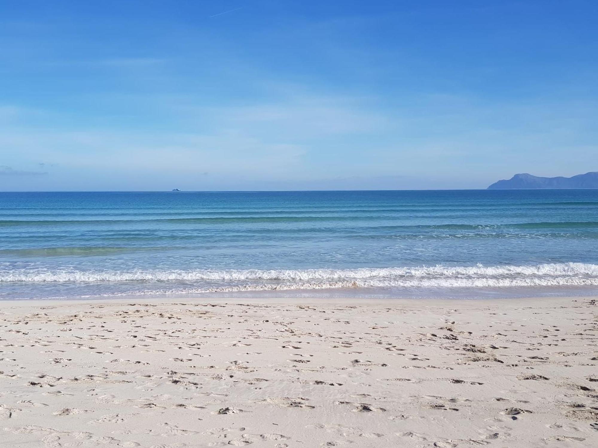 Ideal Property Mallorca - Blue Palm Beach 알쿠디아 외부 사진